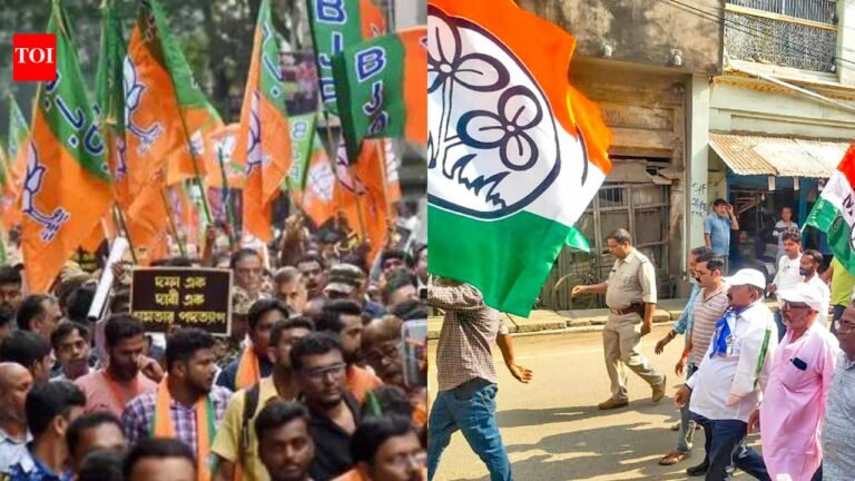 Bengal assembly elections: From TMC to BJP – top 10 wealthiest candidates in fray | India News